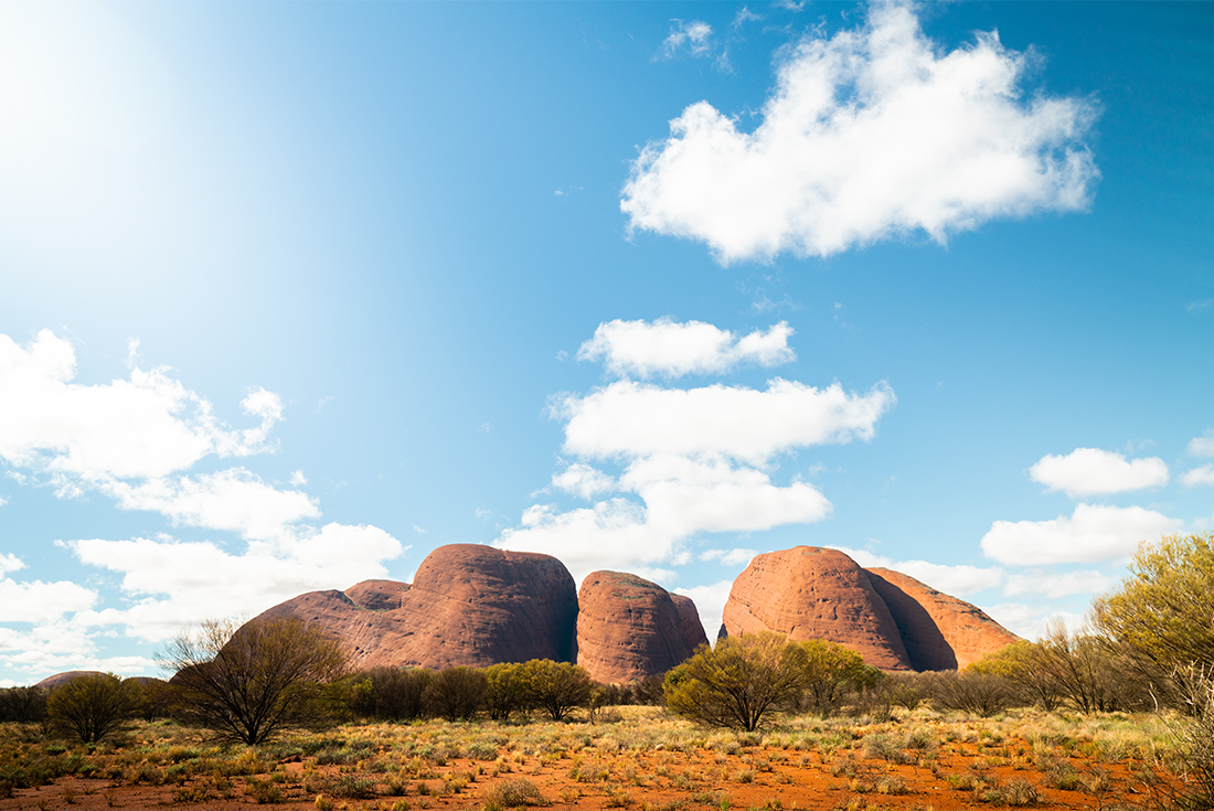 tourhub | Intrepid Travel | Uluru & Kings Canyon Adventure 