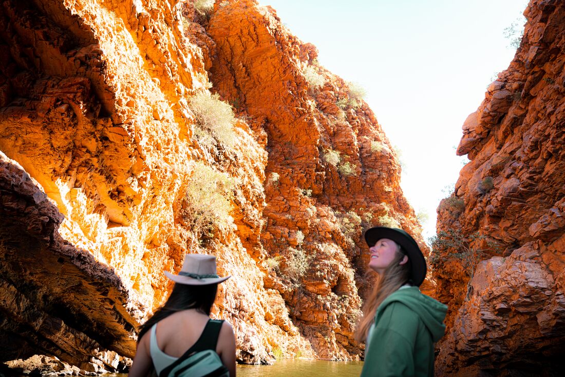 tourhub | Intrepid Travel | Uluru & Kings Canyon Adventure 