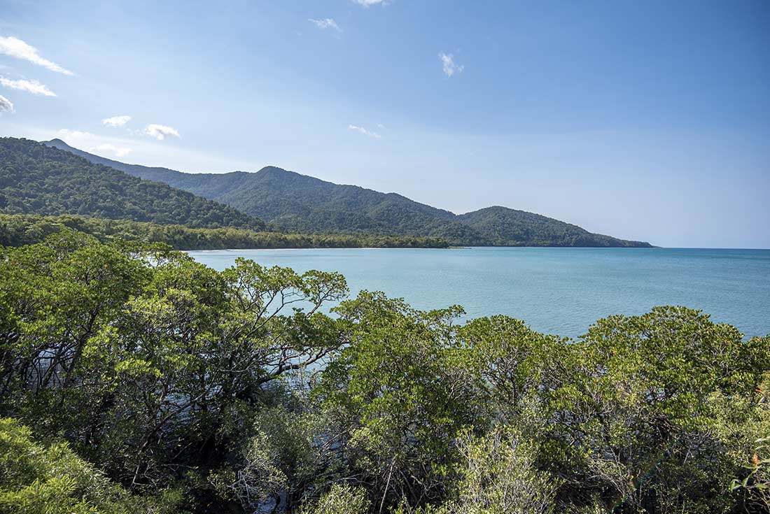 tourhub | Intrepid Travel | Daintree & Cape Tribulation Adventure 