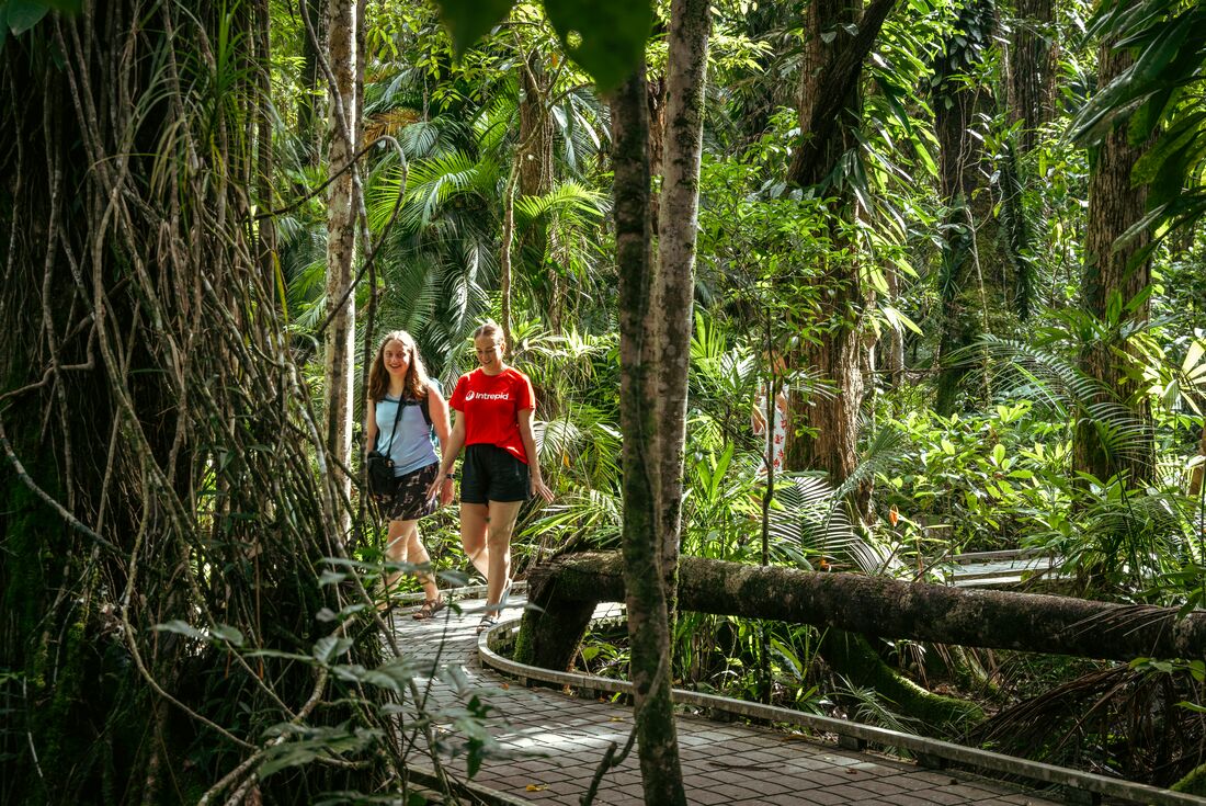 tourhub | Intrepid Travel | Daintree & Cape Tribulation Adventure 