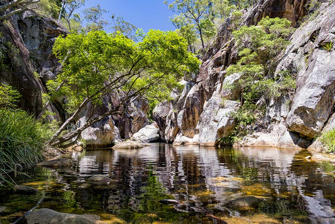 tourhub | Intrepid Travel | Walk Queensland's Scenic Rim 