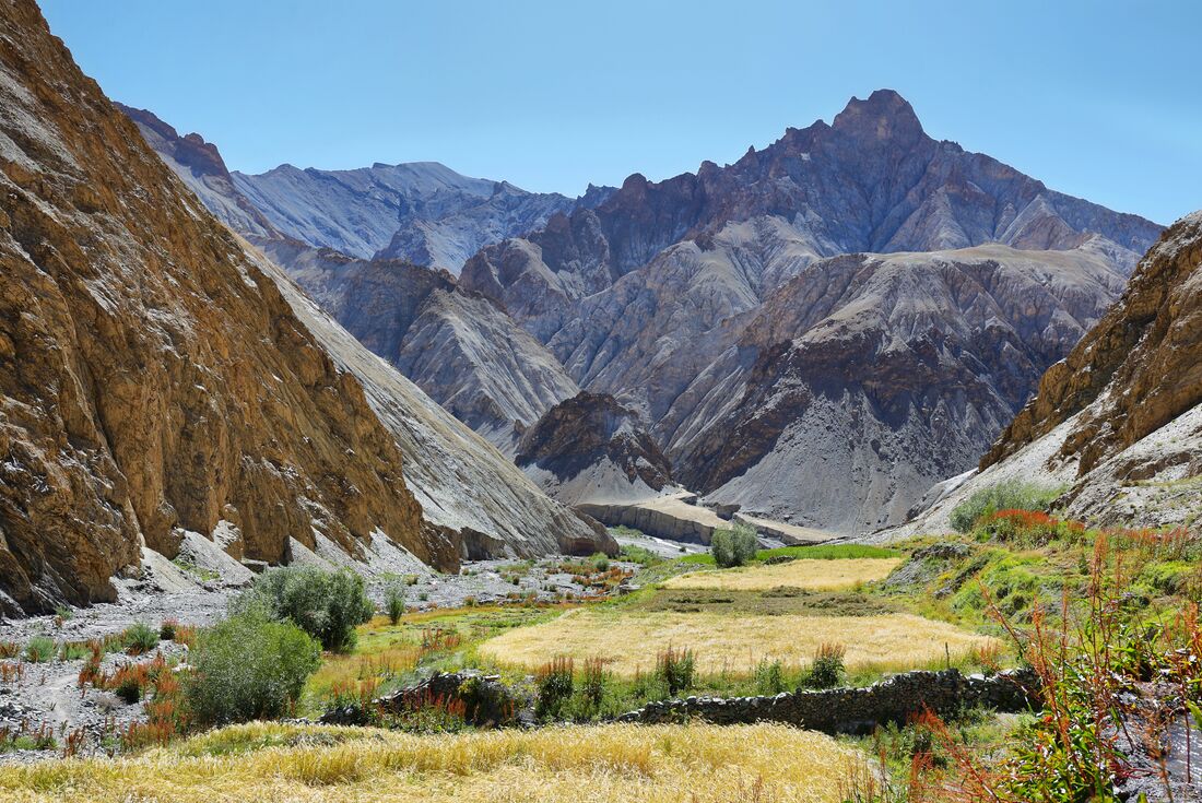 tourhub | Intrepid Travel | India: Trekking in Ladakh 