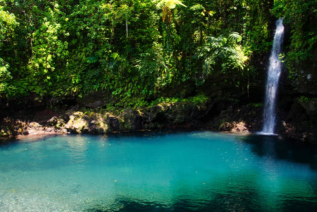 tourhub | Intrepid Travel | Samoa Adventure 