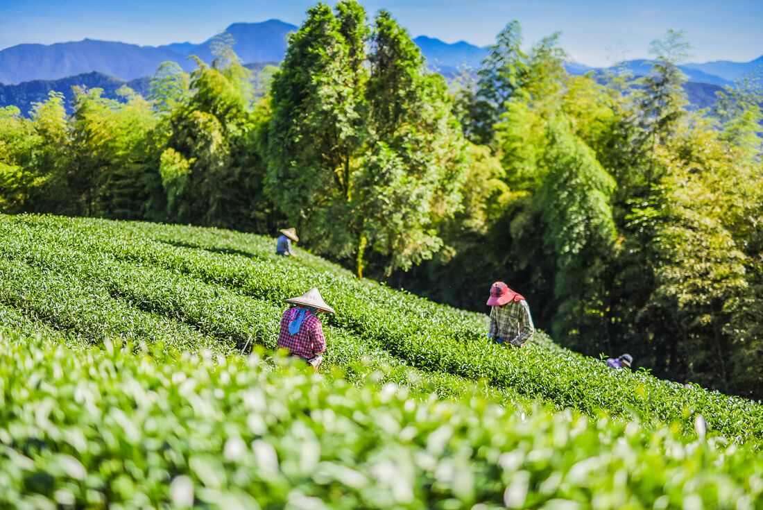 tourhub | Intrepid Travel | Explore Taiwan 