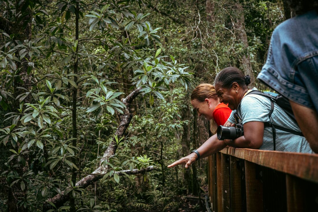 tourhub | Intrepid Travel | Cape York & Torres Strait Explorer 