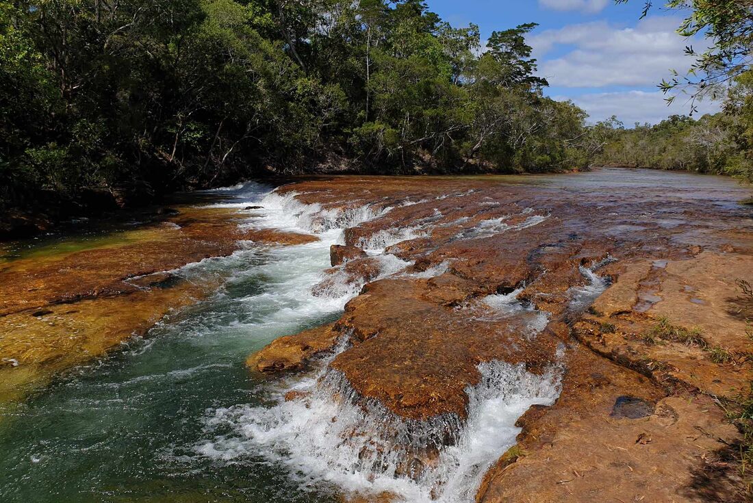 tourhub | Intrepid Travel | Cape York & Torres Strait Explorer 