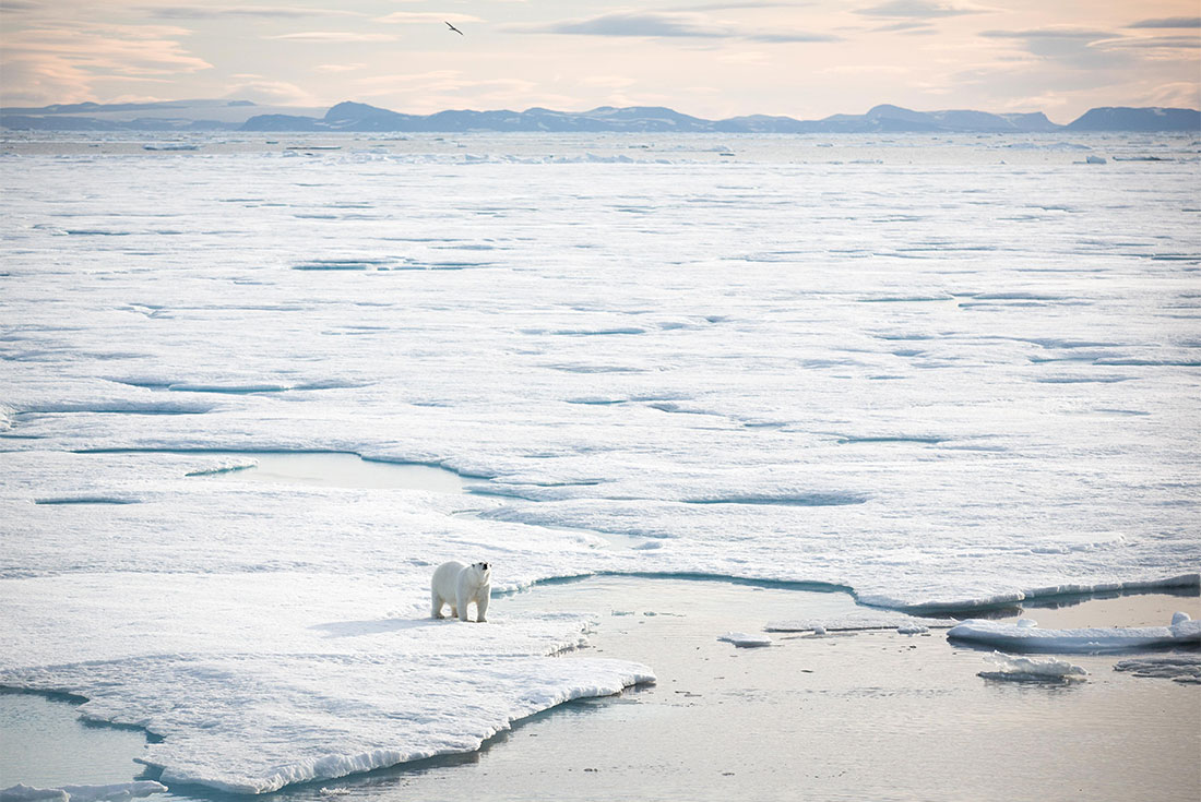 tourhub | Intrepid Travel | Adventures in Northeast Greenland: Glaciers, Fjords and the Northern Lights 