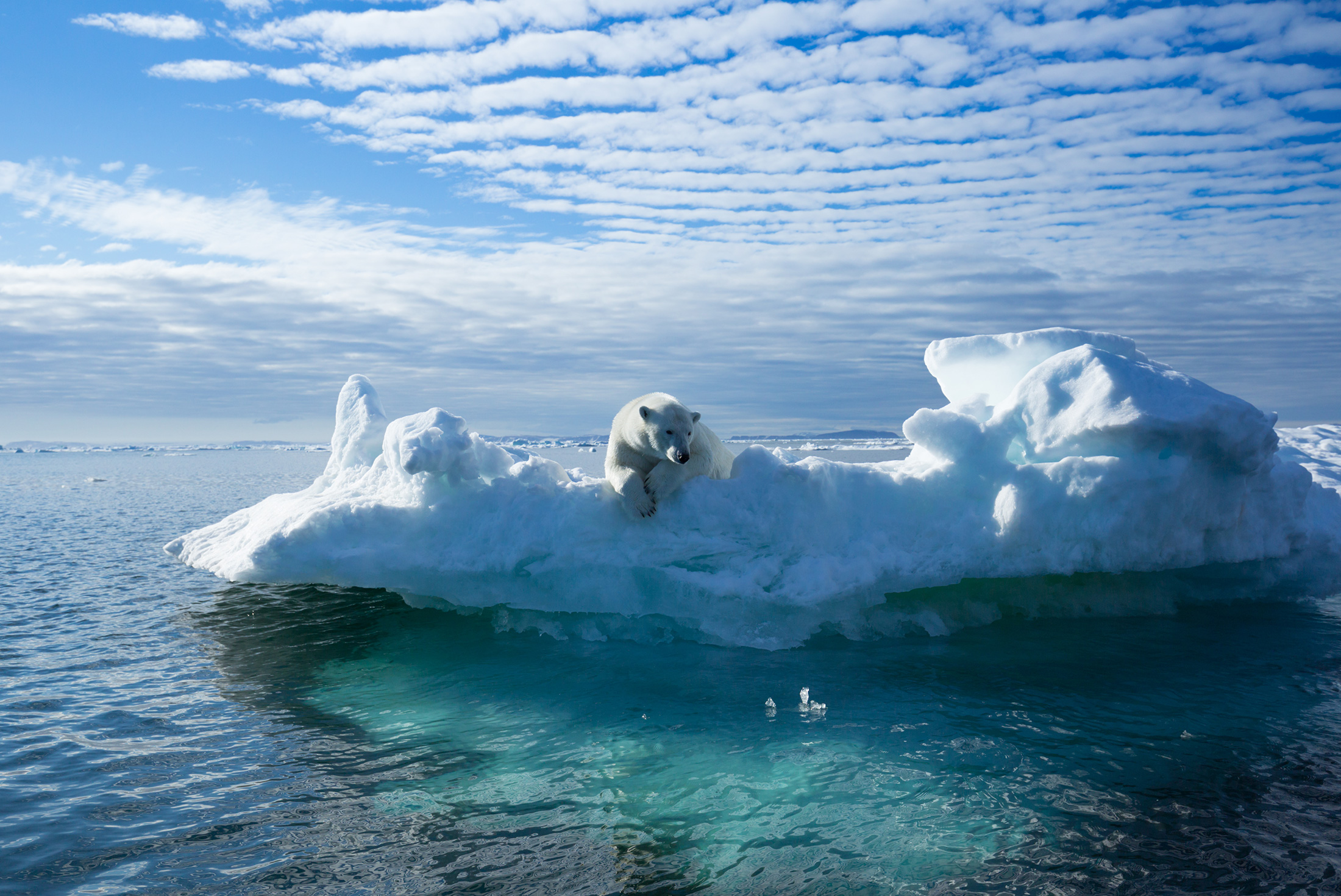 tourhub | Intrepid Travel | Svalbard Explorer: Best of High Arctic Norway in Depth 