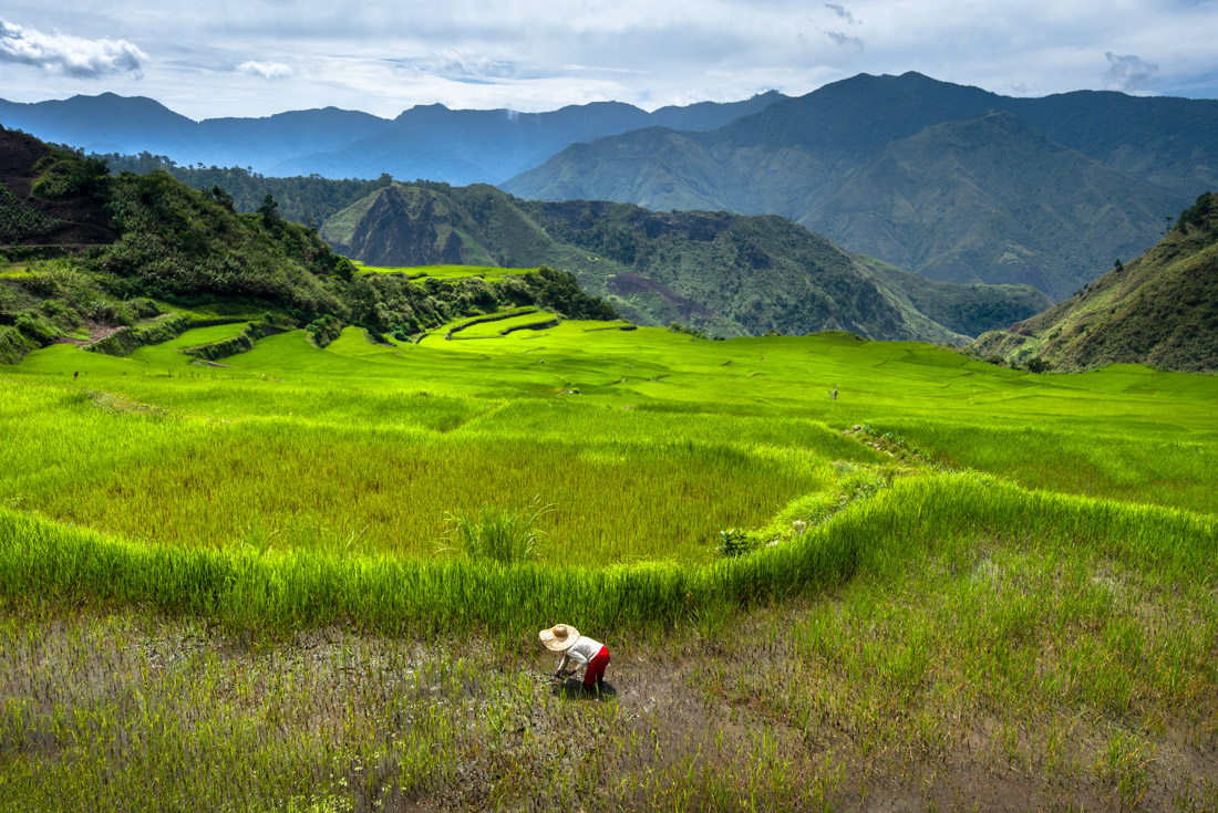 tourhub | Intrepid Travel | Northern Philippines Highlights 