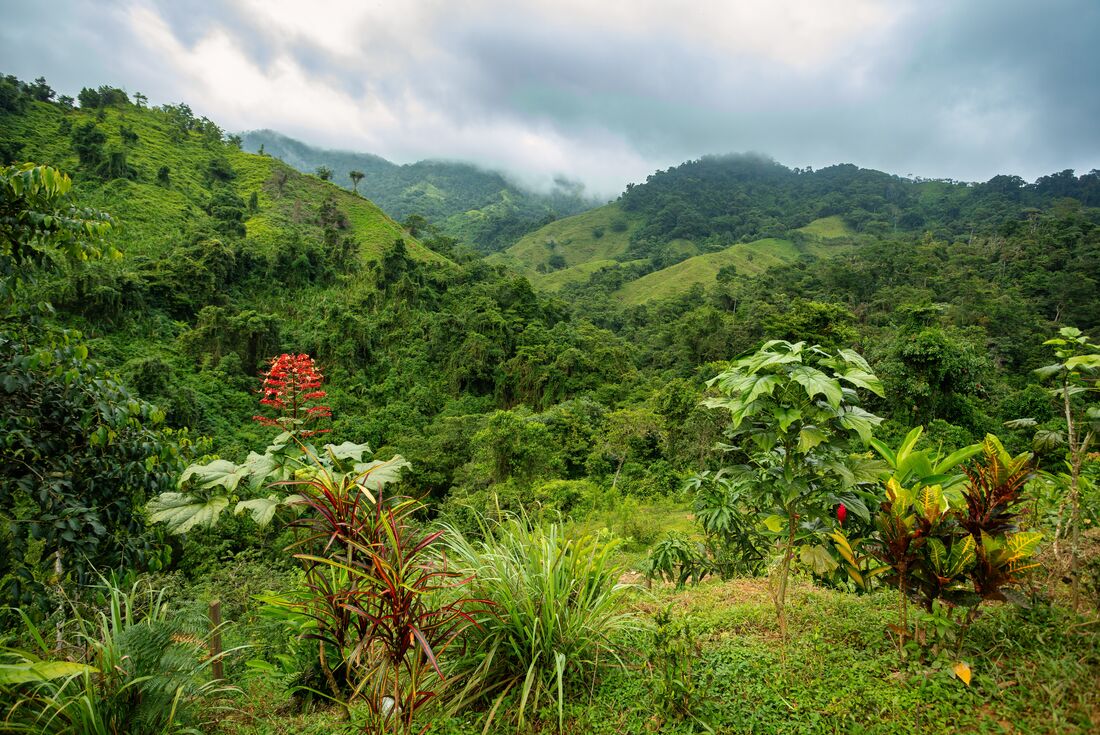 tourhub | Intrepid Travel | Colombia Adventure & Lost City Trek 