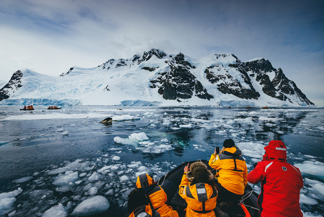 tourhub | Intrepid Travel | Antarctic Explorer: Discovering the 7th Continent  