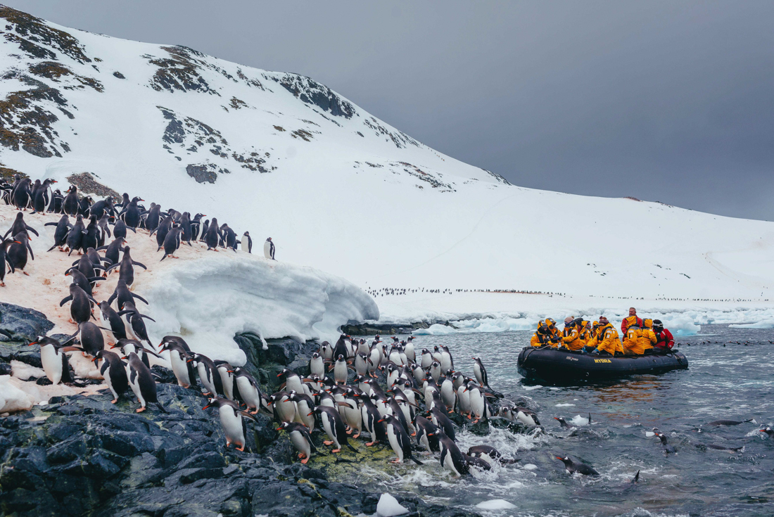 tourhub | Intrepid Travel | Antarctic Explorer: Discovering the 7th Continent  