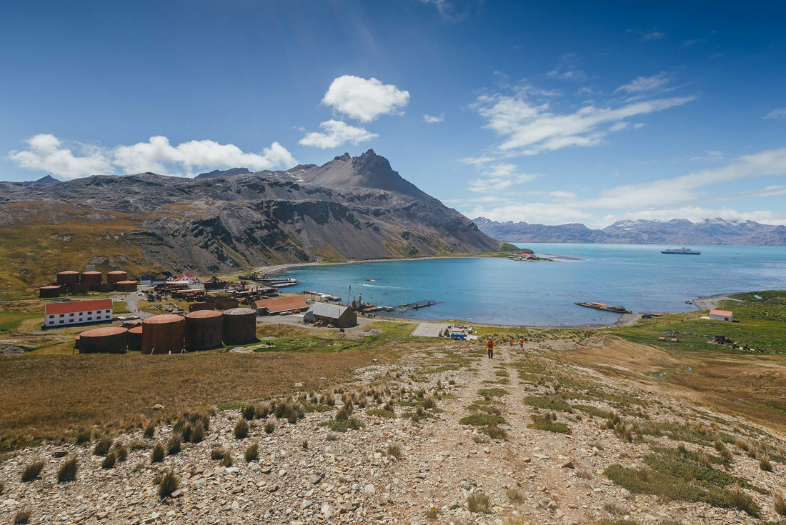 tourhub | Intrepid Travel | South Georgia and Antarctic Peninsula: Penguin Safari  