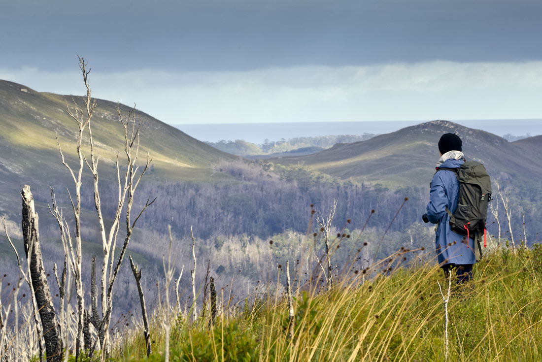 tourhub | Intrepid Travel | Walk Tasmania's Tarkine & Cradle Mountain 