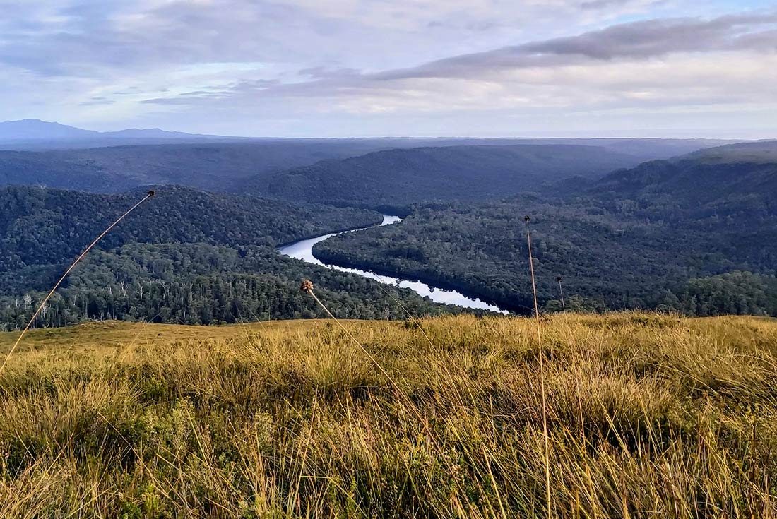 Walk Tasmania's Tarkine &amp; Cradle Mountain