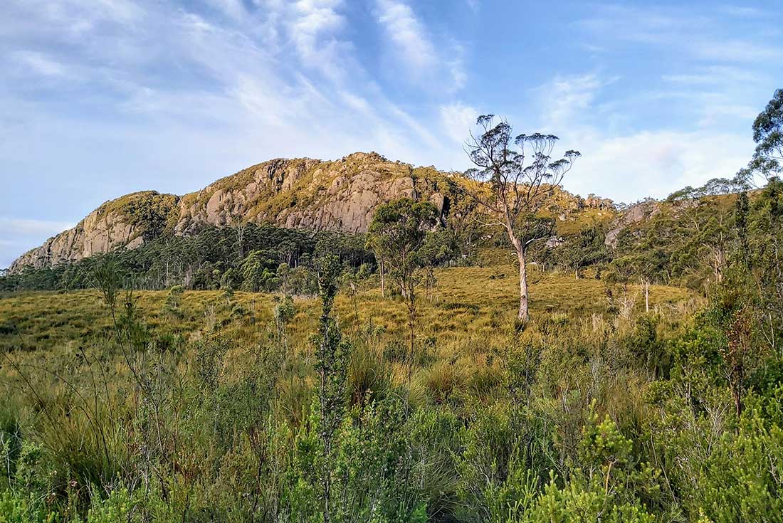 tourhub | Intrepid Travel | Walk Tasmania's Tarkine & Cradle Mountain 