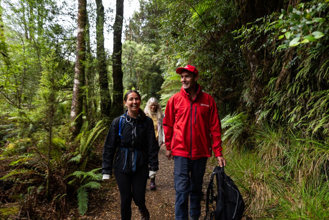 Walk Tasmania's Tarkine & Cradle Mountain