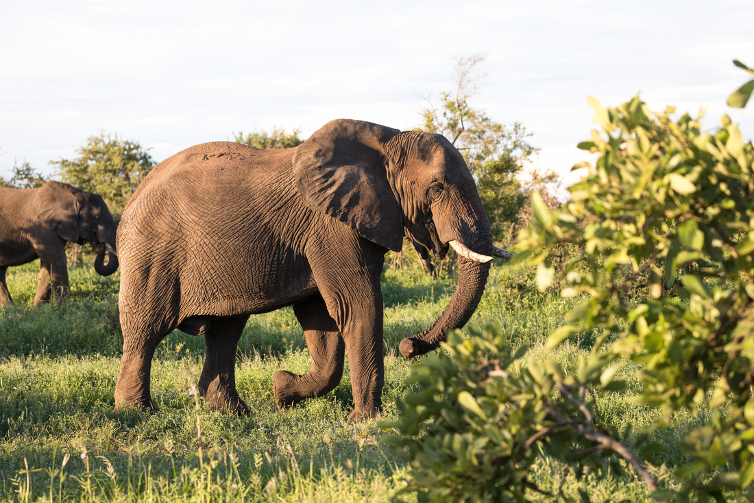 tourhub | Intrepid Travel | Southern Africa Highlights 