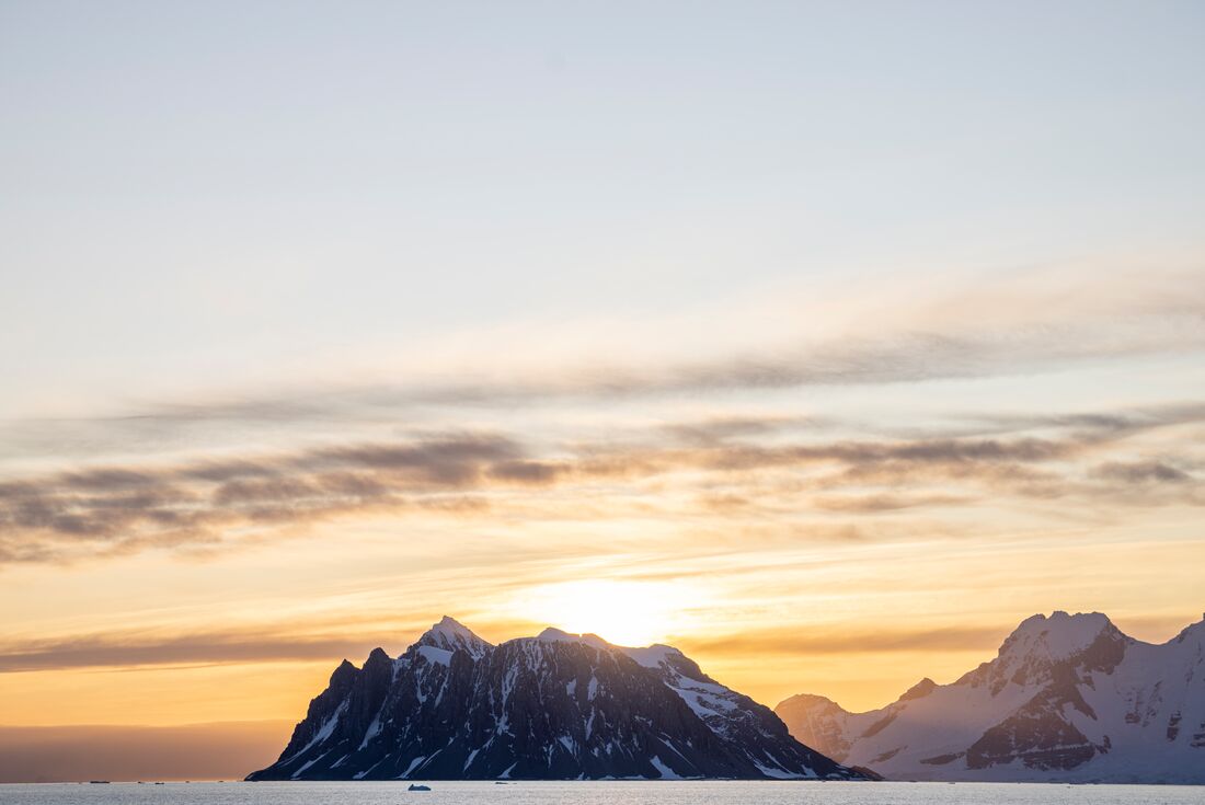 Best of Antarctica: Whale Journey 