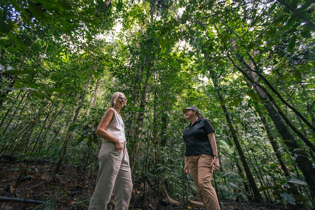 tourhub | Intrepid Travel | Find your Light: Daintree & Cape Tribulation Adventure 