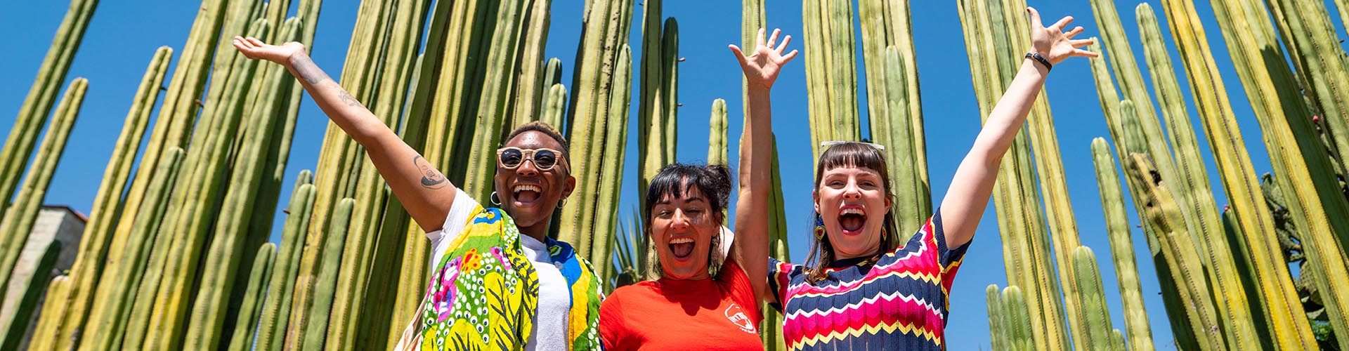 Mexico Adventure Tour & Beach 