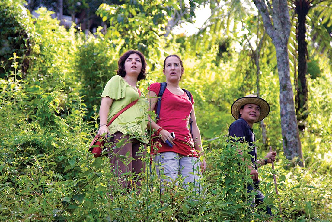 Premium Borneo in Depth