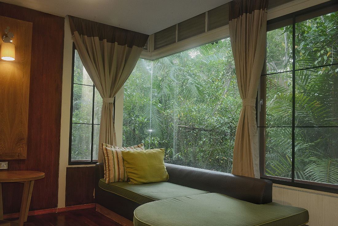 Premium Borneo in Depth