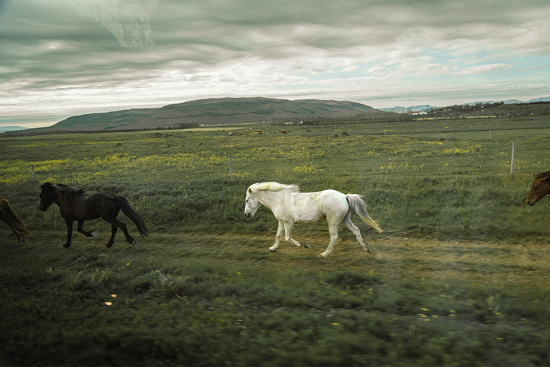 Six Days in Iceland