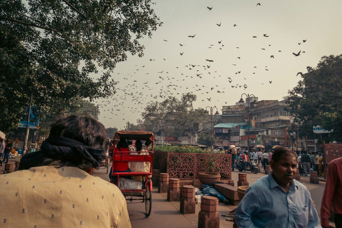 North India Highlights