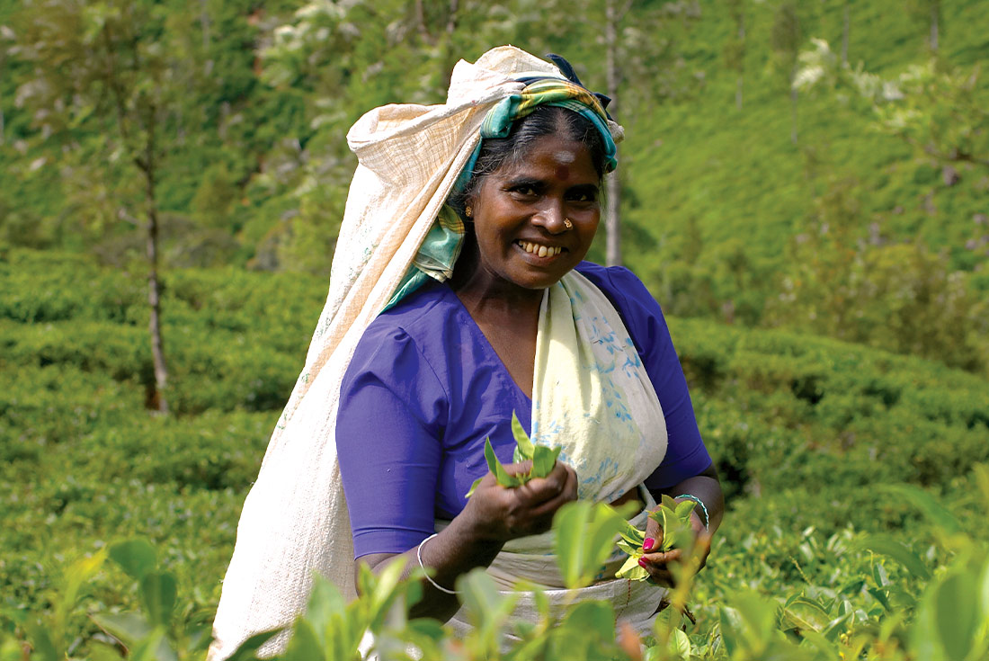 Premium Sri Lanka in Depth