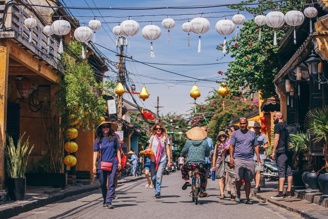 Premium Vietnam in Depth