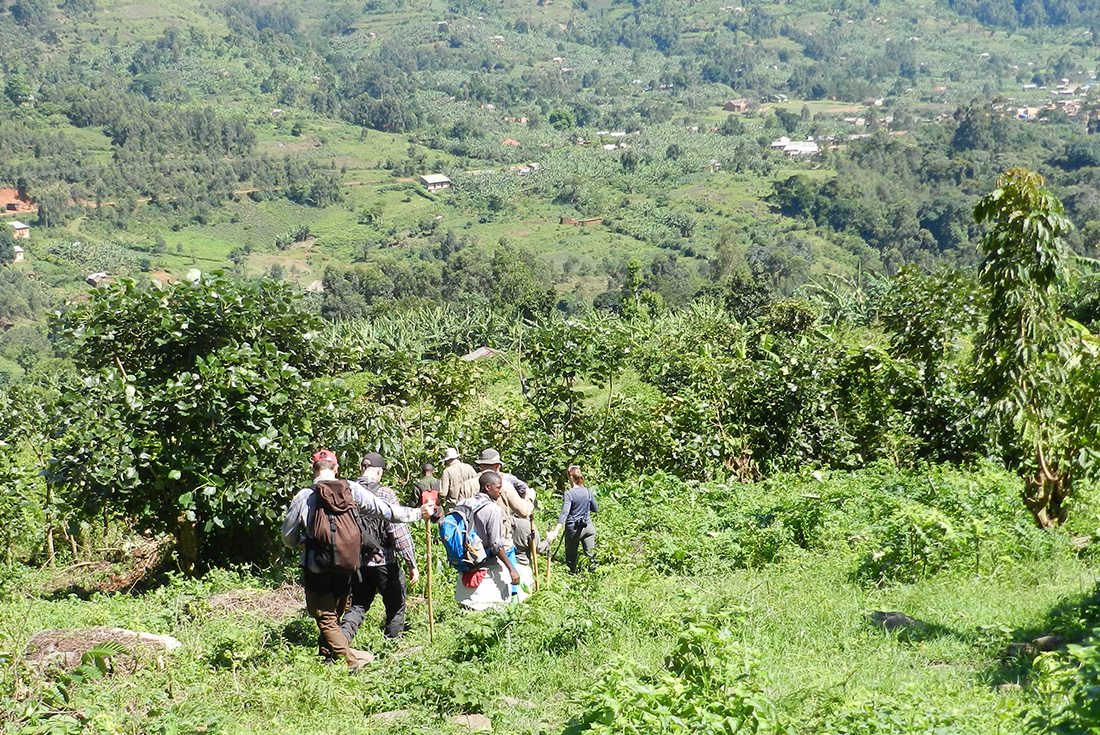 Remarkable Rwanda & Gorillas of Uganda