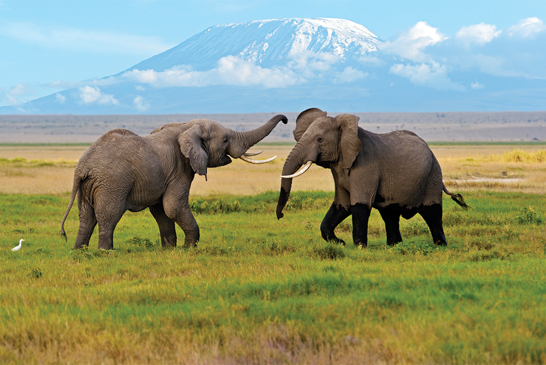 Serengeti Trail