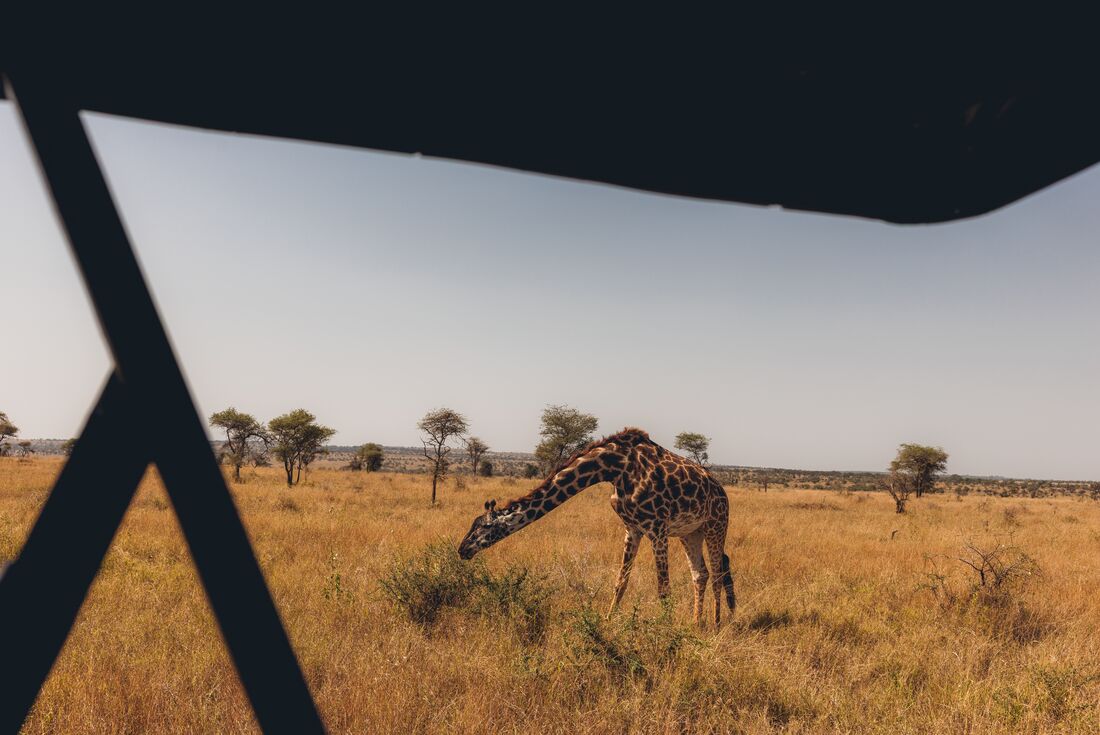 East Africa Highlights