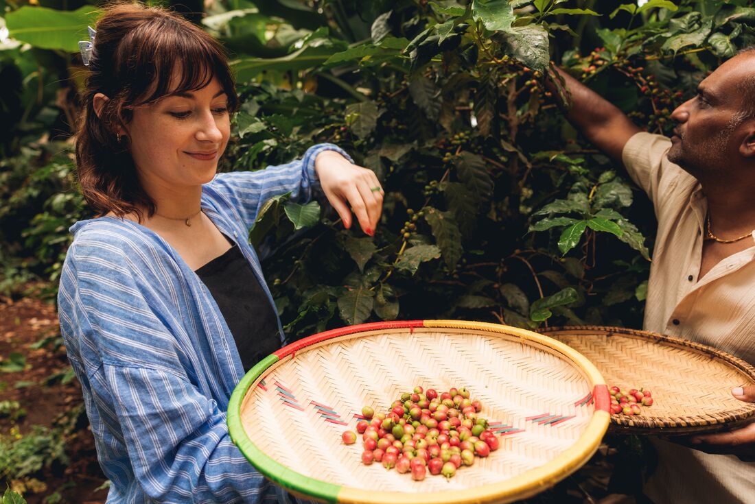 Stone Town to Nairobi