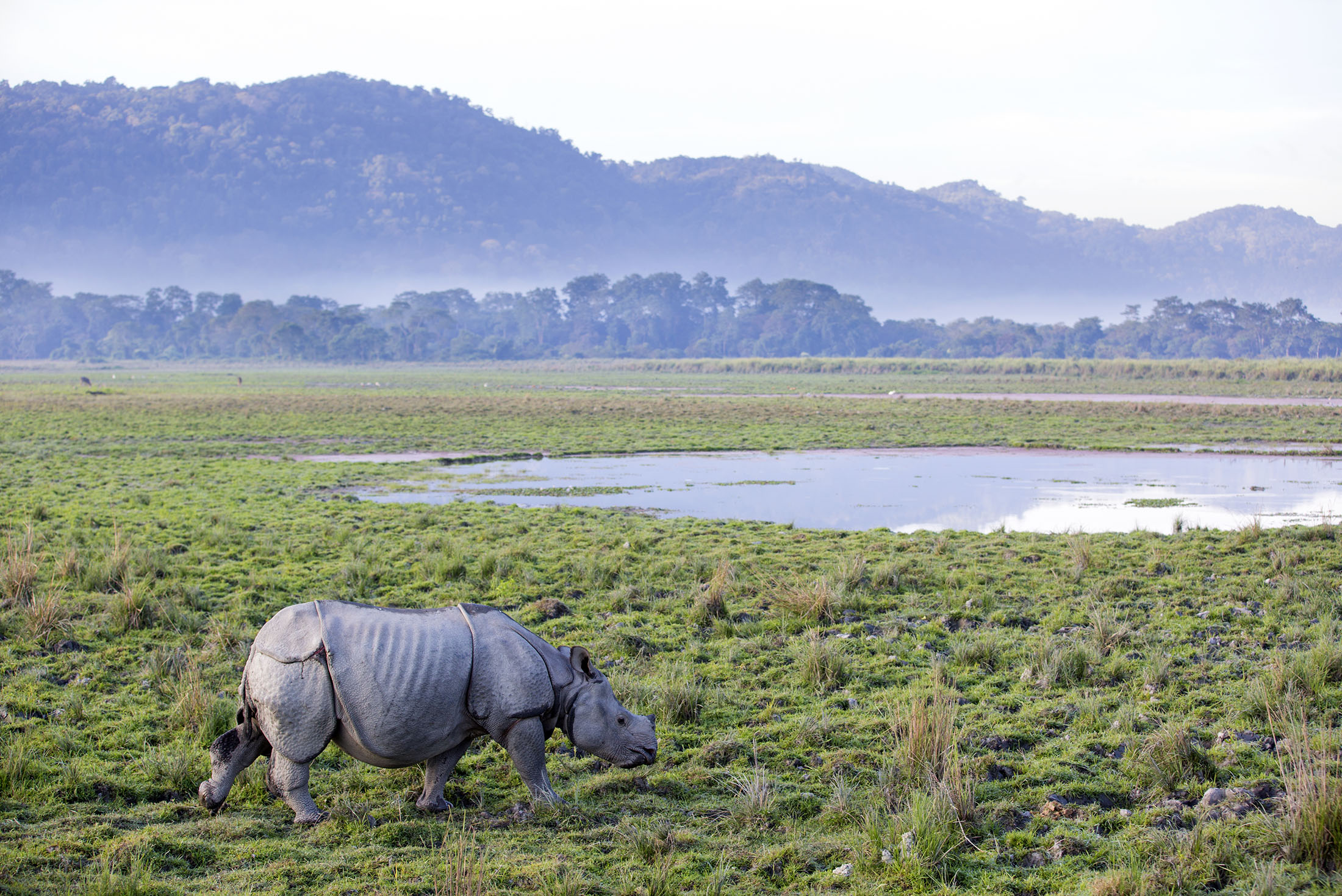 India Expedition: Sikkim, Assam & Nagaland