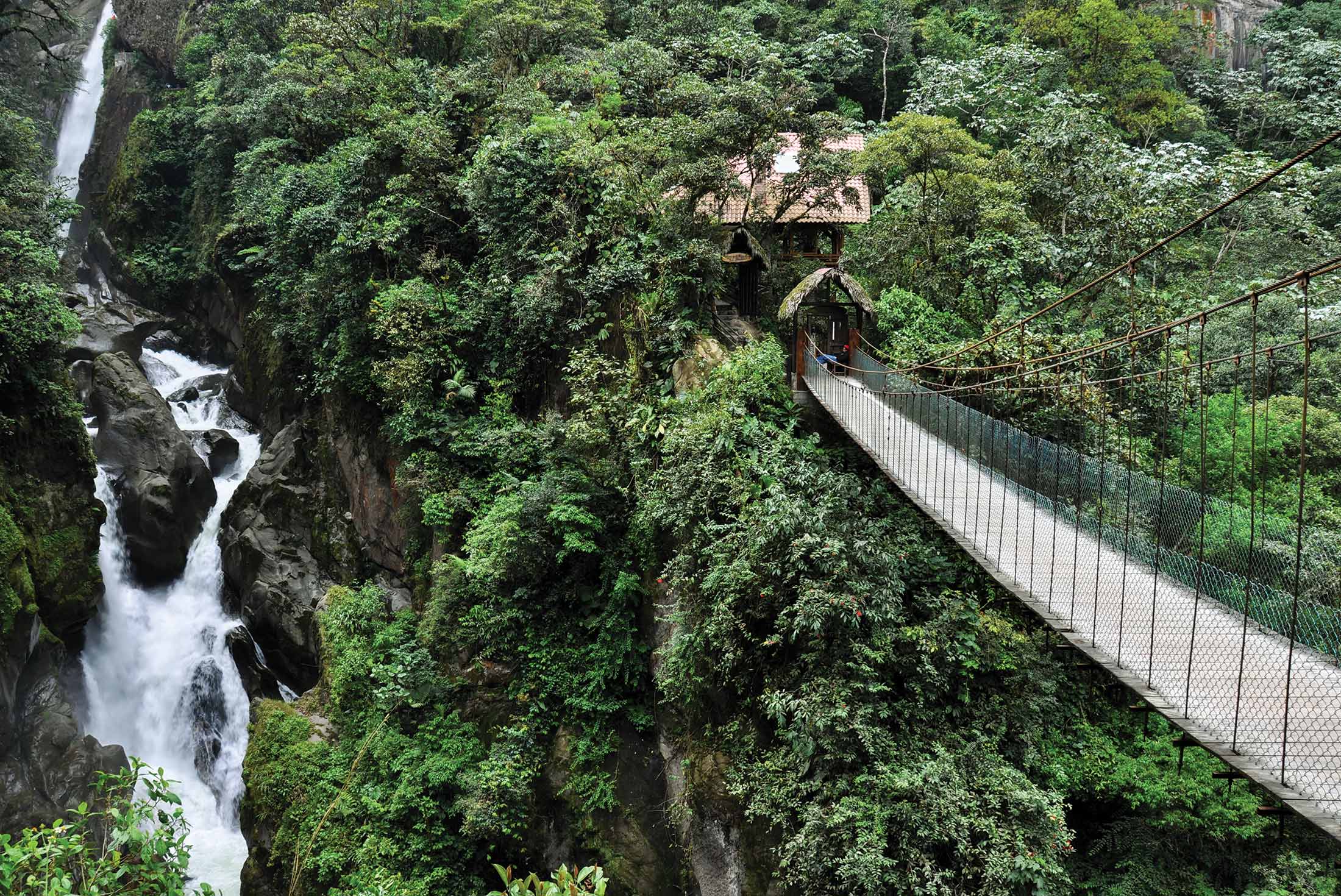 Ecuador Amazon & Galapagos Family Holiday