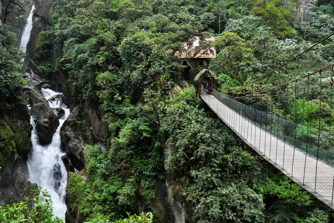 Ecuador Amazon & Galapagos Family Holiday