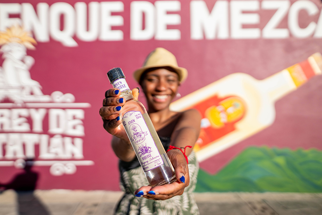 Premium Mexico City to Oaxaca