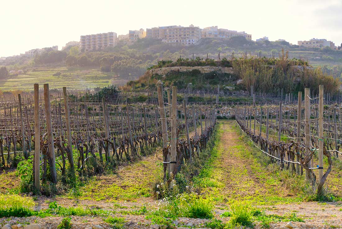 Highlights of Malta &amp; Gozo
