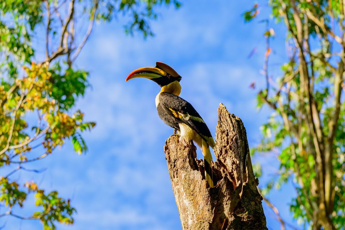 Southern India