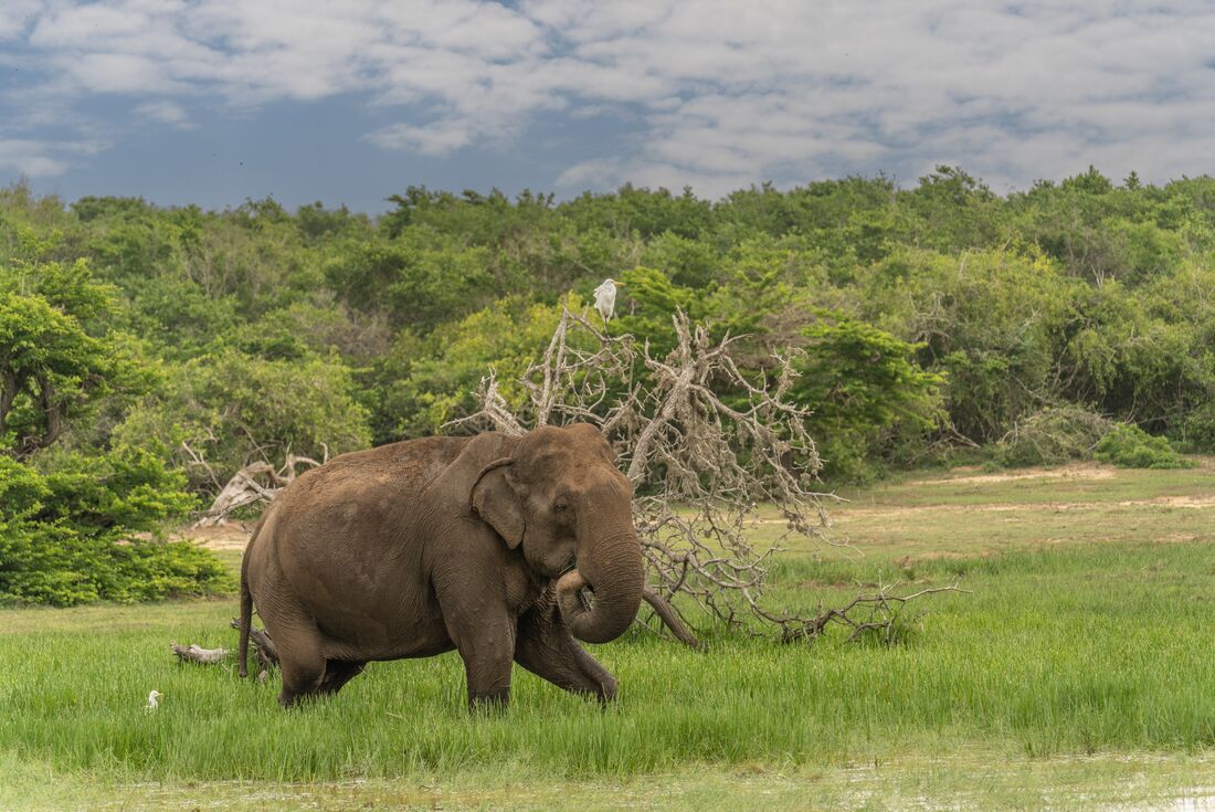 Southern India