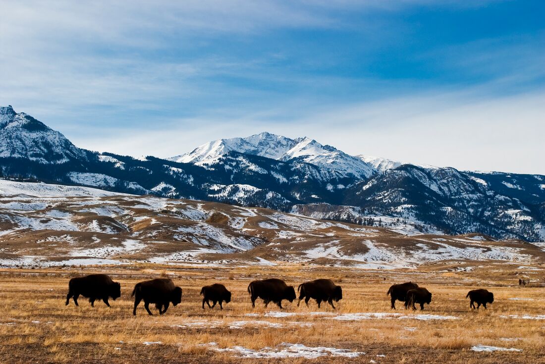 South Dakota to Yellowstone Parks Explorer