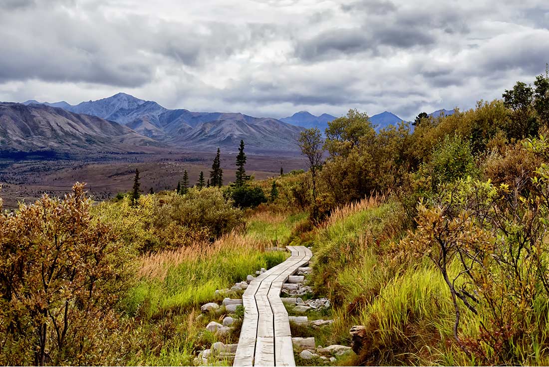 Alaska Hike, Bike & Kayak