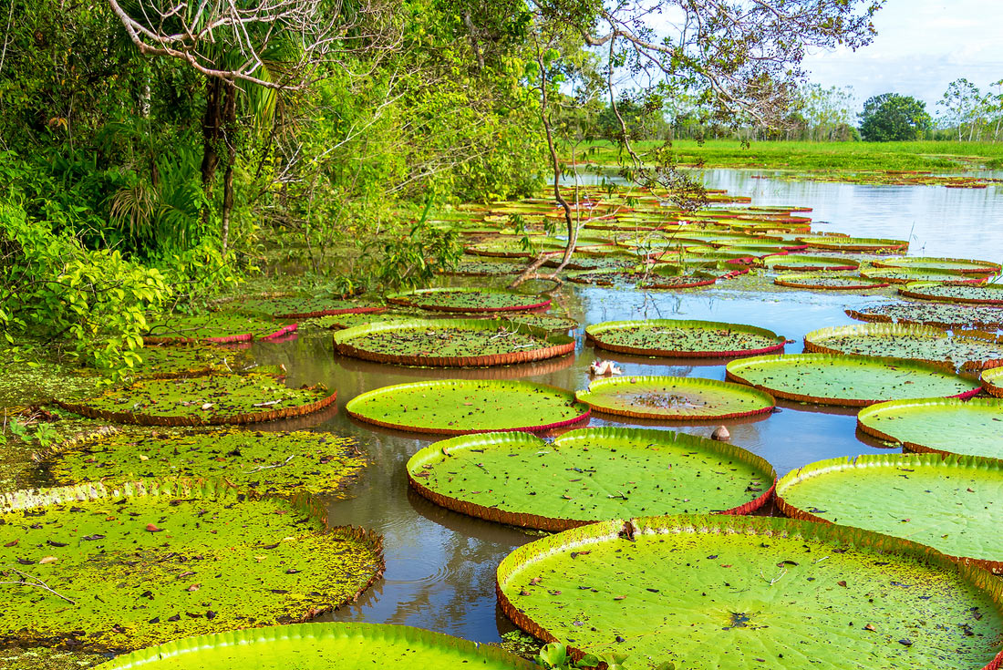 Explore Peru & Bolivia