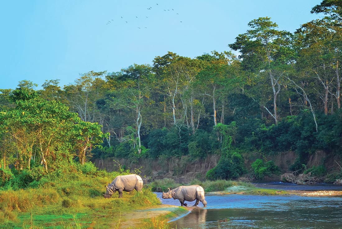 Nepal: Women's Expedition