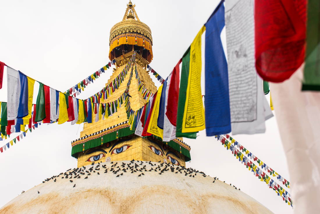 Essential Nepal