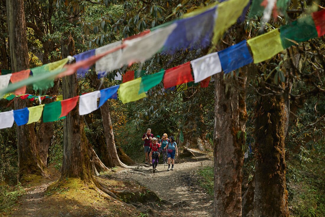 Essential Nepal