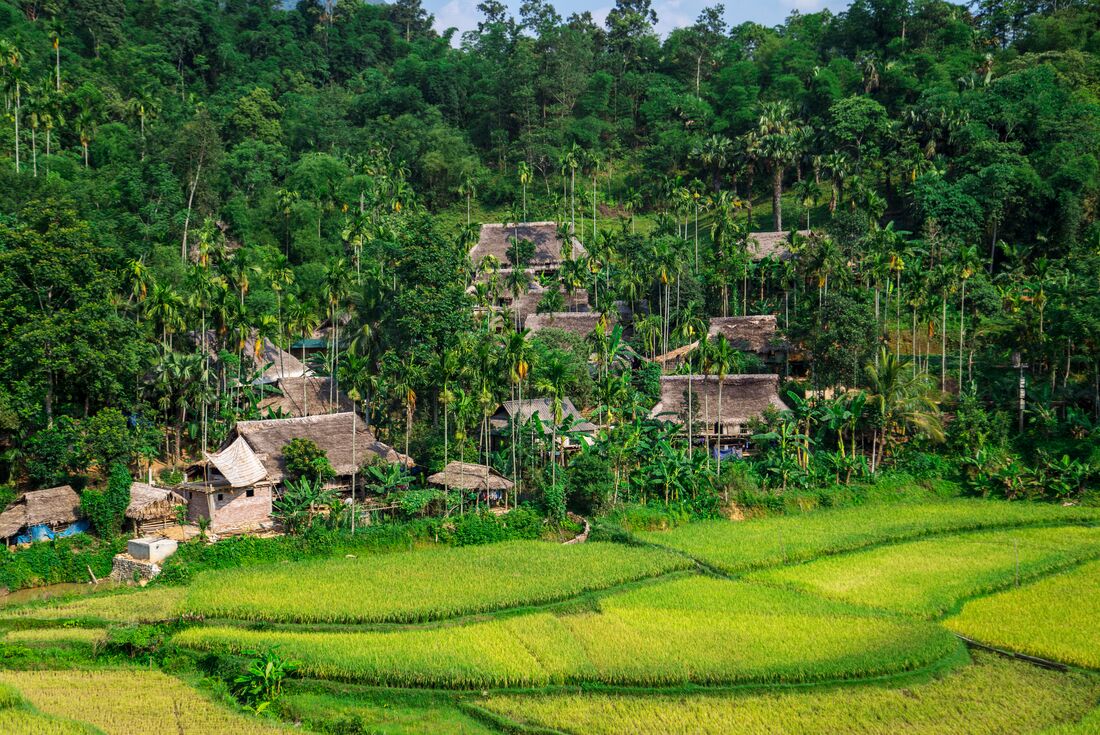 Vietnam Discovery