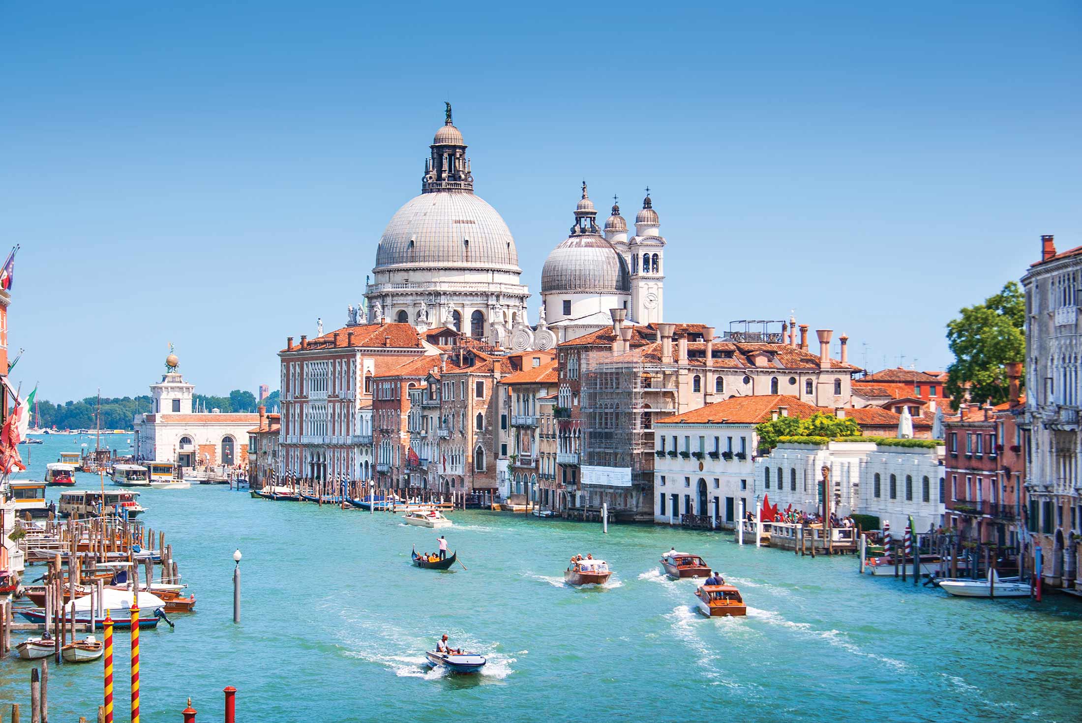 Italy Experience